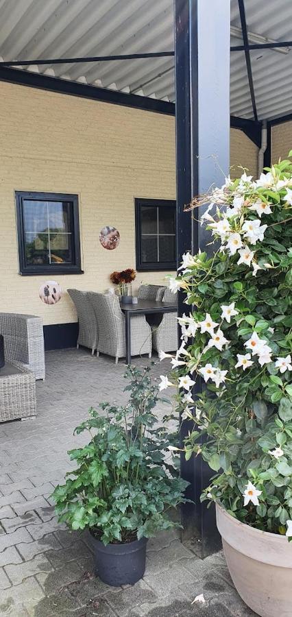 Luxe Gastenkamer Met Living En Keuken Bij Friezen Paarden Stal Pellendijk Westendorp Exterior photo