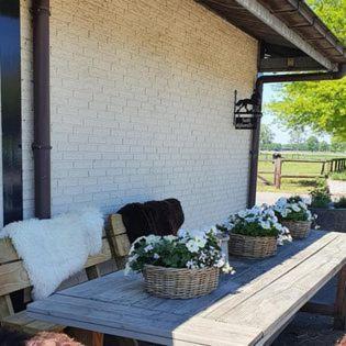 Luxe Gastenkamer Met Living En Keuken Bij Friezen Paarden Stal Pellendijk Westendorp Exterior photo
